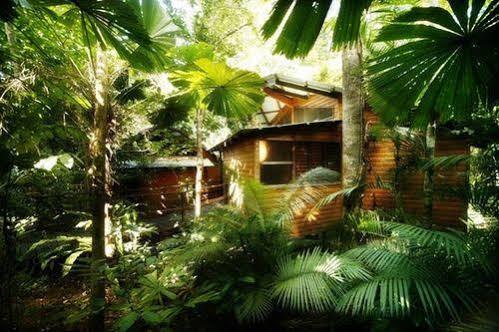 Cape Tribulation Resort & Spa מראה חיצוני תמונה
