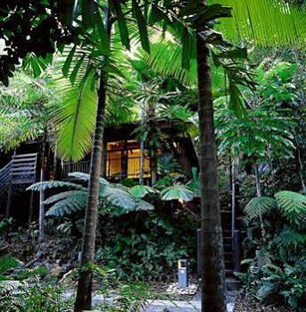 Cape Tribulation Resort & Spa מראה חיצוני תמונה
