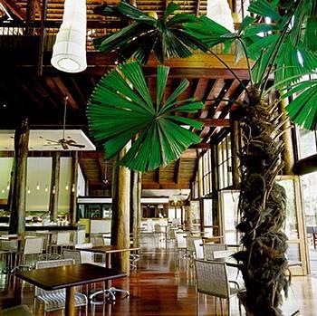Cape Tribulation Resort & Spa מראה חיצוני תמונה